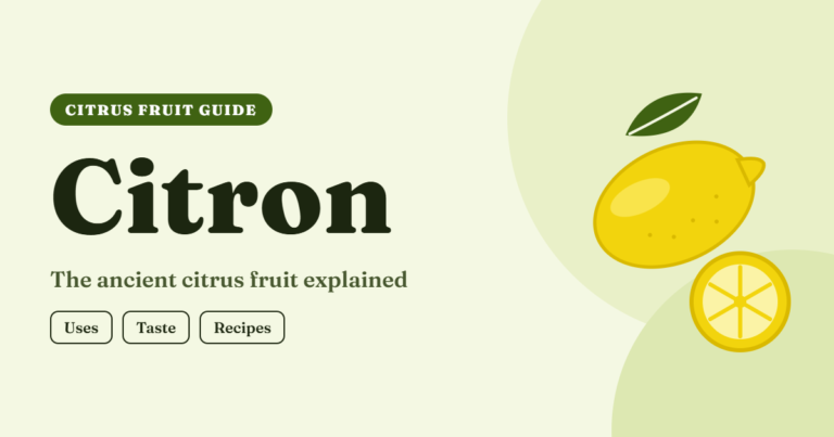 Illustration of a yellow citron fruit with a green leaf and a cut slice, with the title “Citron” on a pale lime background